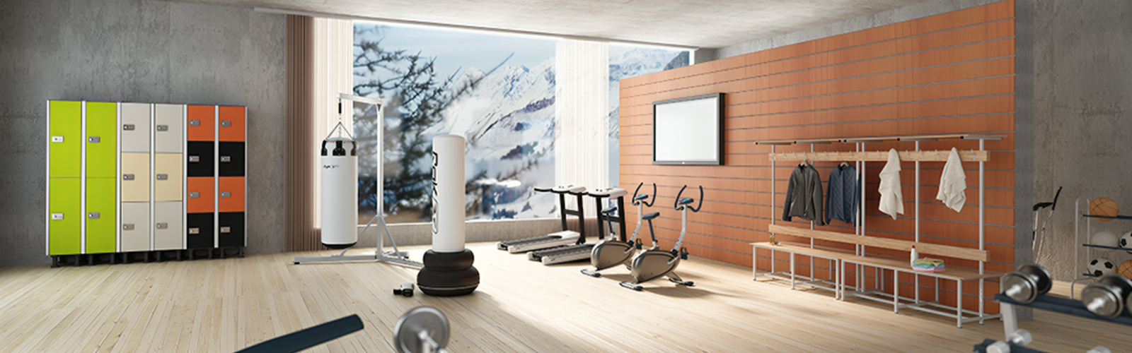 fenolicas en gimnasio fenolicas en gimnasio